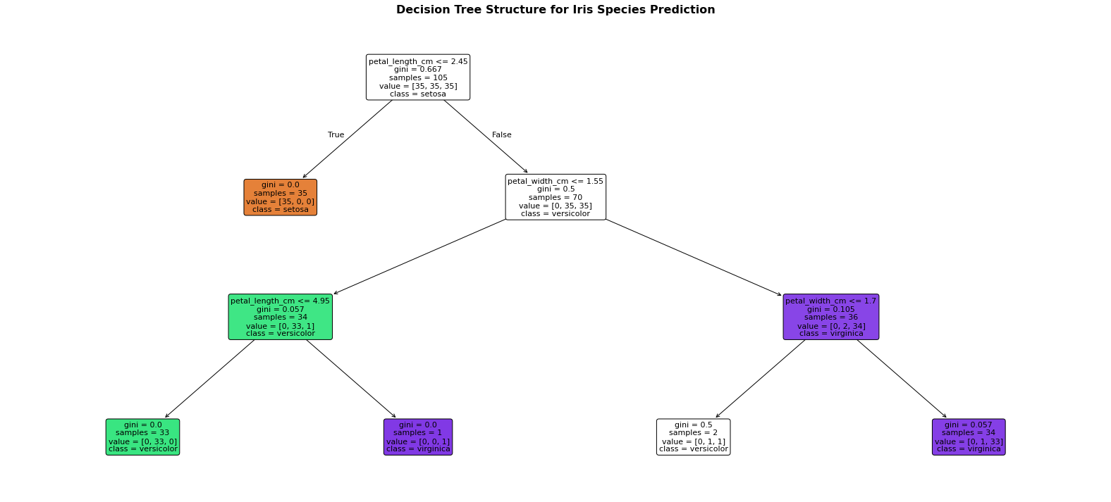Decision tree structure for Iris species prediction, splitting on petal length and petal width only